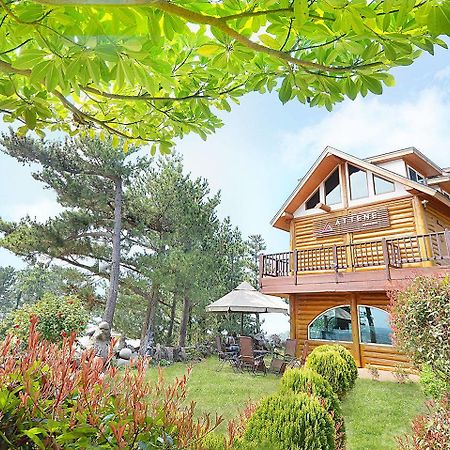 Attene Pension Jeju Ngoại thất bức ảnh