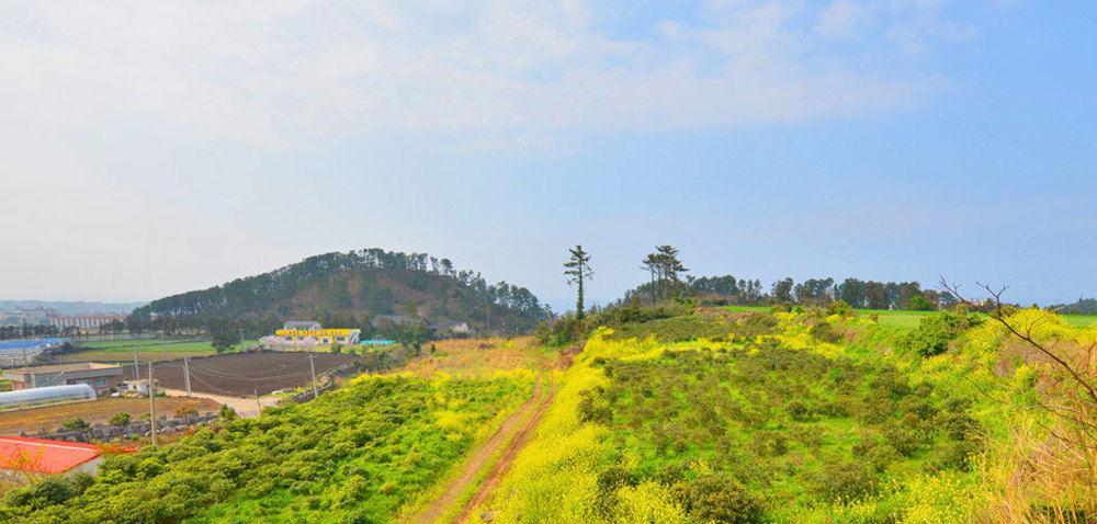 Attene Pension Jeju Ngoại thất bức ảnh