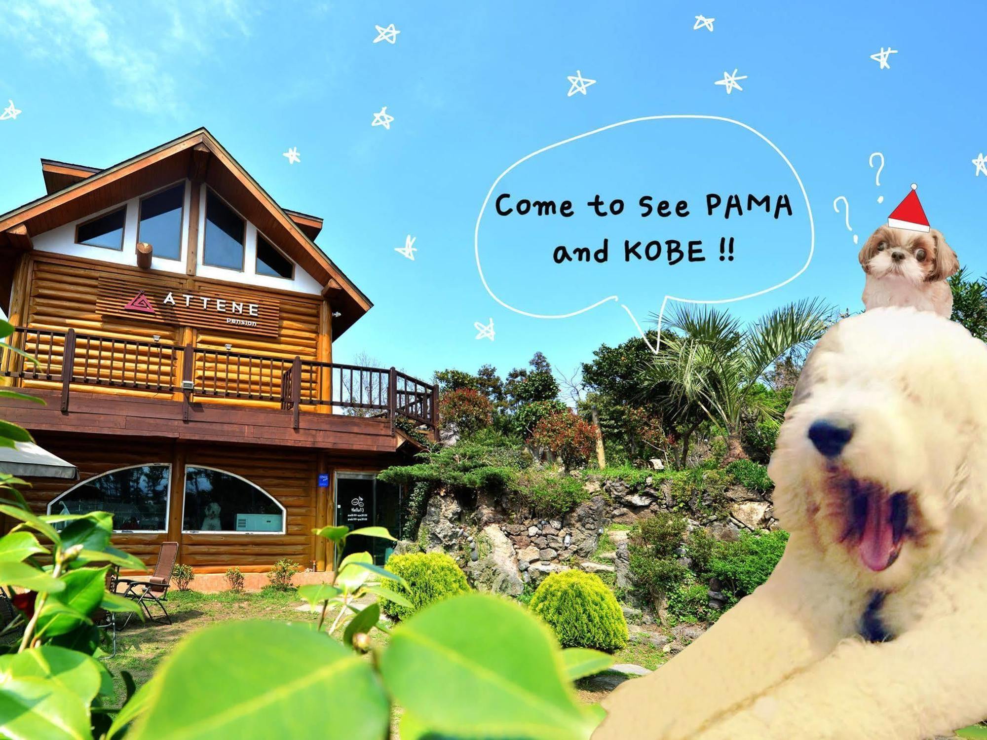 Attene Pension Jeju Ngoại thất bức ảnh